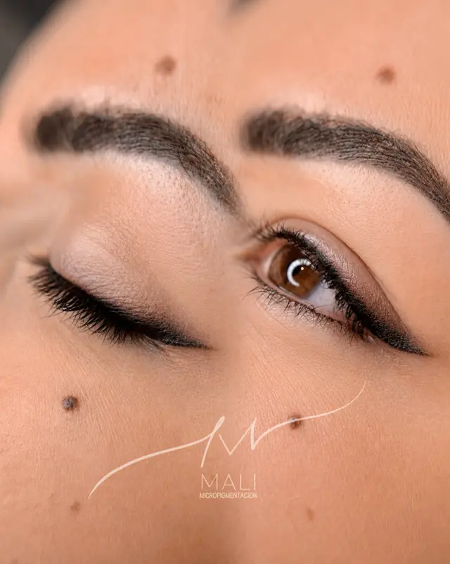 Micropigmentación de eyeliner realizada por Mali