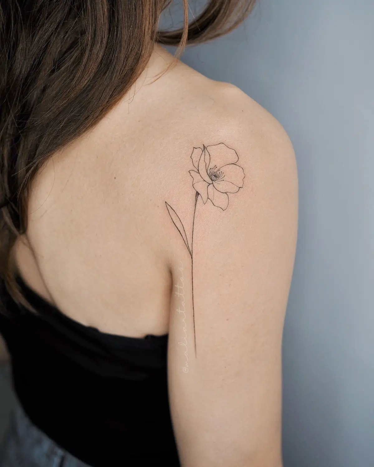 Amapola, tatuaje de línea fina, botánica en omóplato