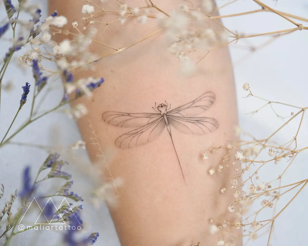Libélula, tatuaje de línea fina en brazo